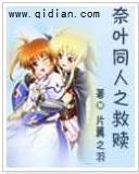 奈叶同人之救赎封面