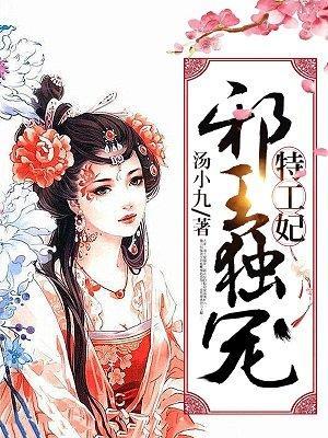 邪王独宠特工妃封面