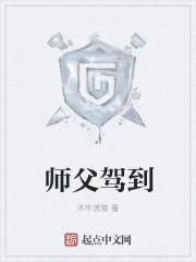师父驾到封面
