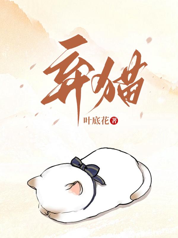 弃猫卖菜封面