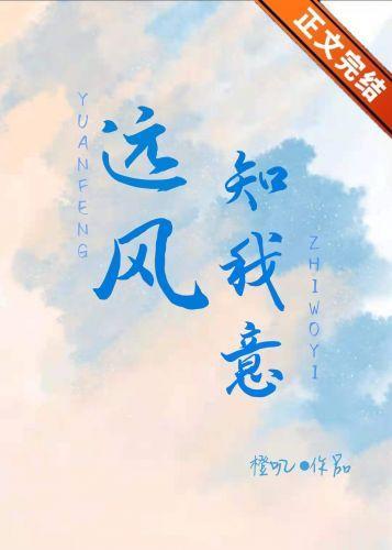 只剩长风知我意封面