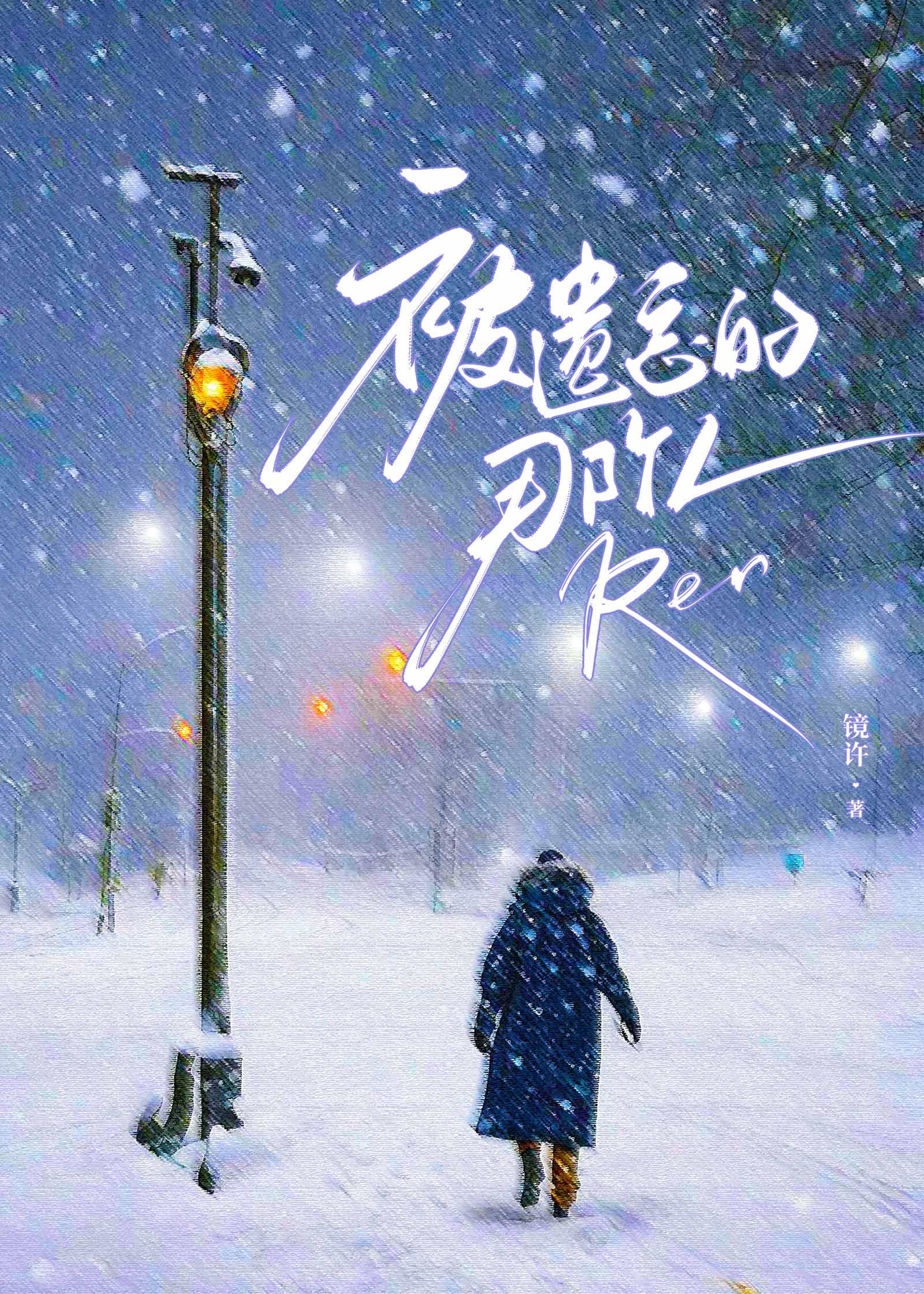 被遗忘的那个人封面