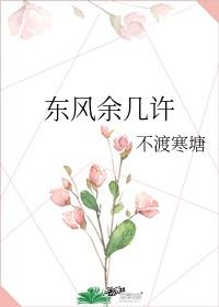 东风余几许封面