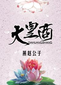 大皇商封面