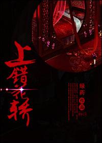 上错花轿（重生）封面