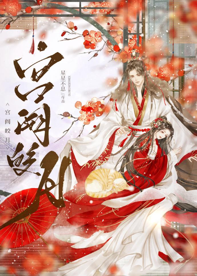宫阙皎月封面