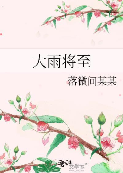 大雨将至封面