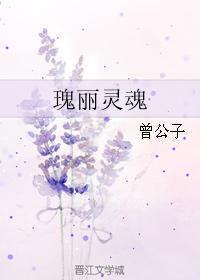 瑰丽灵魂封面