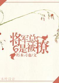 将军总是被撩封面
