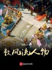 数风流人物是什么意思封面
