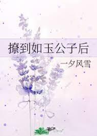 撩到如玉公子后封面
