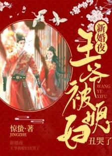 王爷抢新娘子封面
